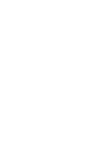ADAS Icon
